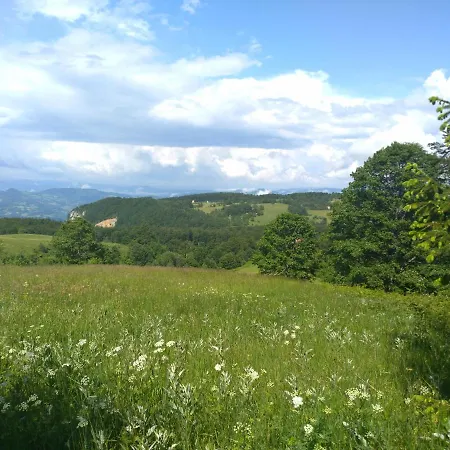 Pahulja Tara Tatil Evi Bajina Basta