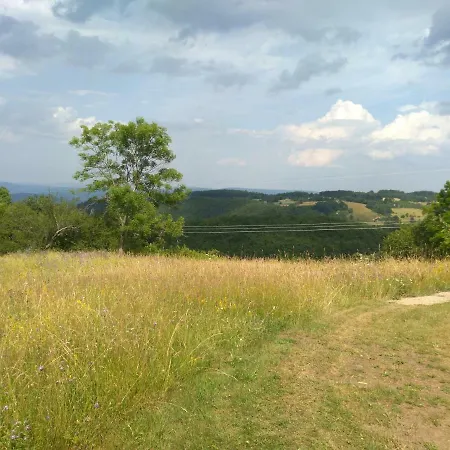 Pahulja Tara Case de vacanță *