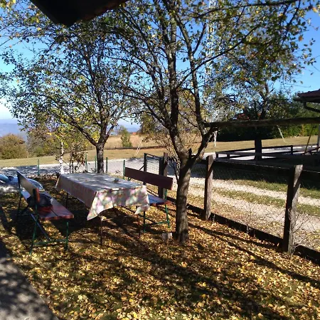 Pahulja Tara Case de vacanță