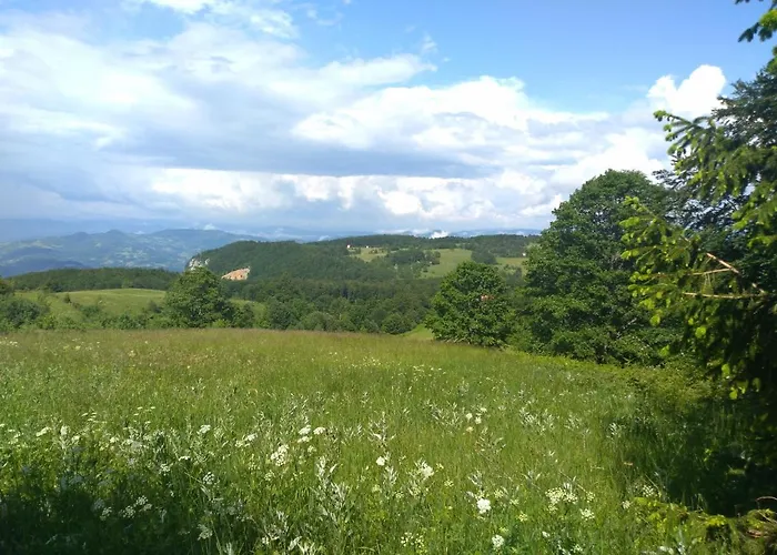 Pahulja Tara Ferienhaus Bajina Basta