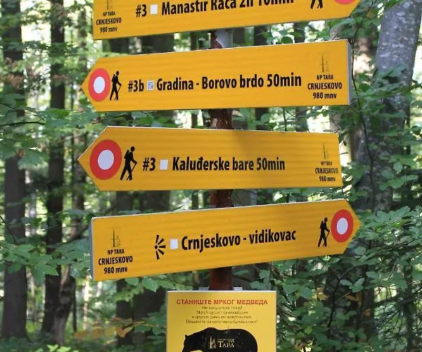 Pahulja Tara * Bajina Basta