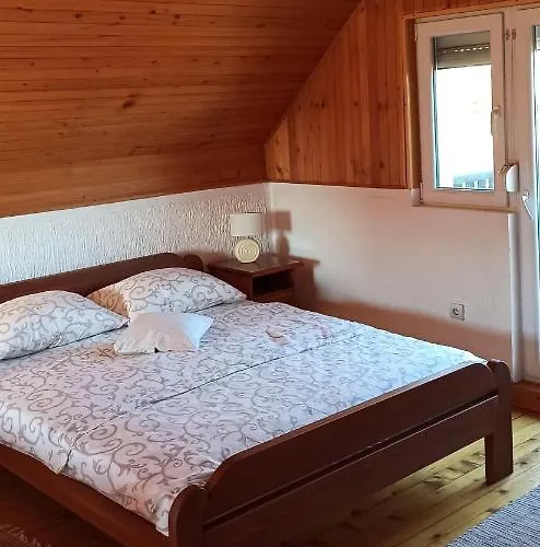 Pahulja Tara Bajina Basta