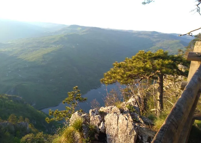 Pahulja Tara * Bajina Basta