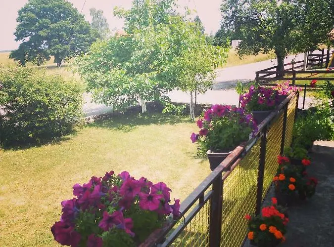 Pahulja Tara Bajina Basta