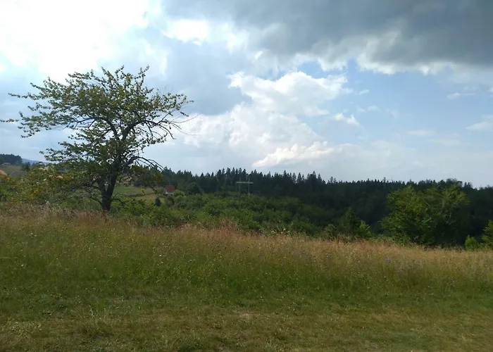 Pahulja Tara * Bajina Basta