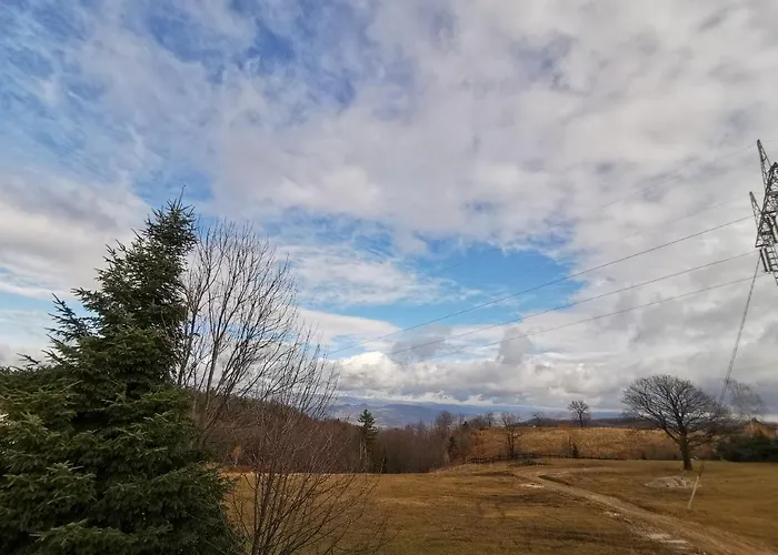 Pahulja Tara * Bajina Basta