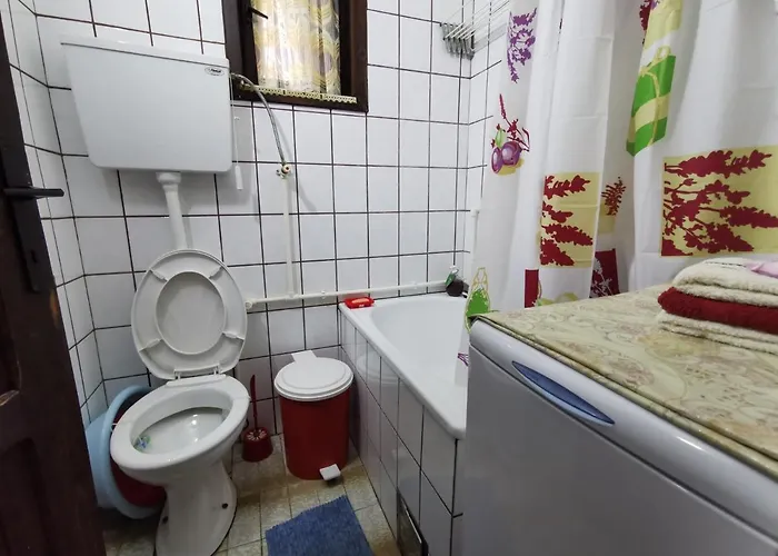 Ferienhaus Pahulja Tara *